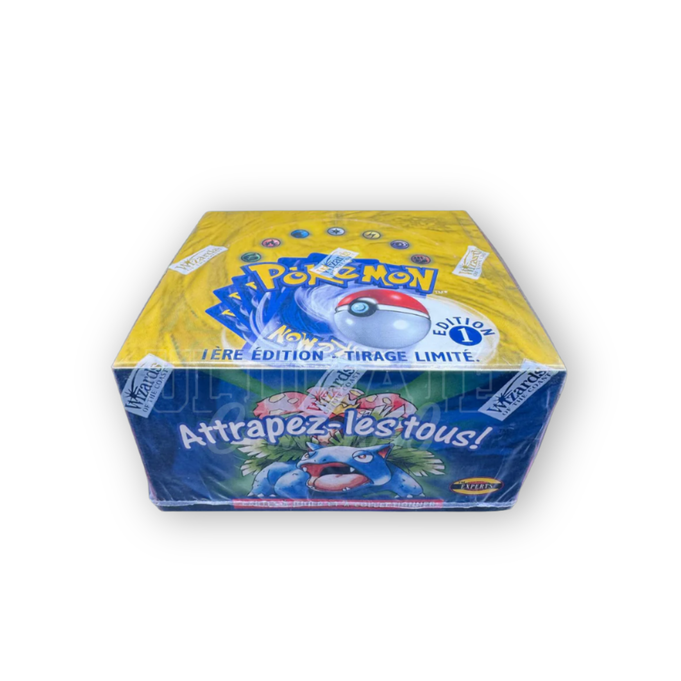 Display Set de Base - EDITION 1